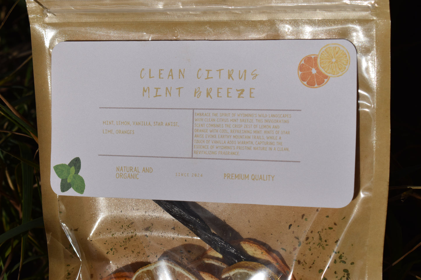 Clean Citrus Mint Breeze Simmer Pot